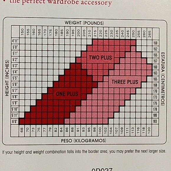 Hanes Accessories 2 Pairs Nos Plus Size Hanes Lovable Pantyhose For